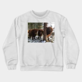 Scottish Highland Cattle Calves 1961 Crewneck Sweatshirt